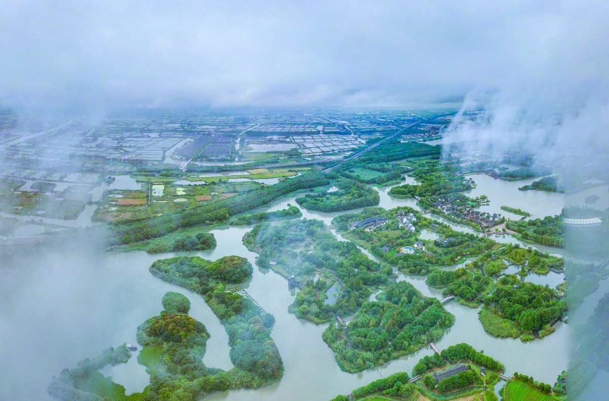 江苏的温馨时光，友情、家庭与美好日常