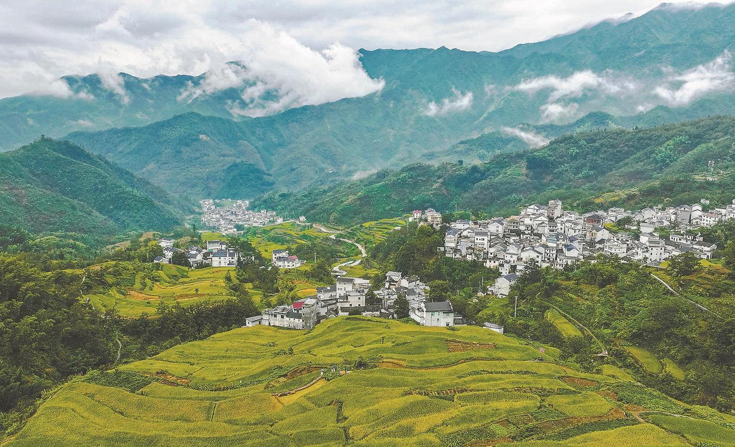 安徽,梦想起航的璀璨之地,学习成就自信之路