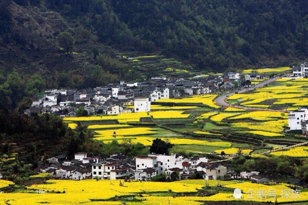 江西地域发展的多维度观点深度探讨