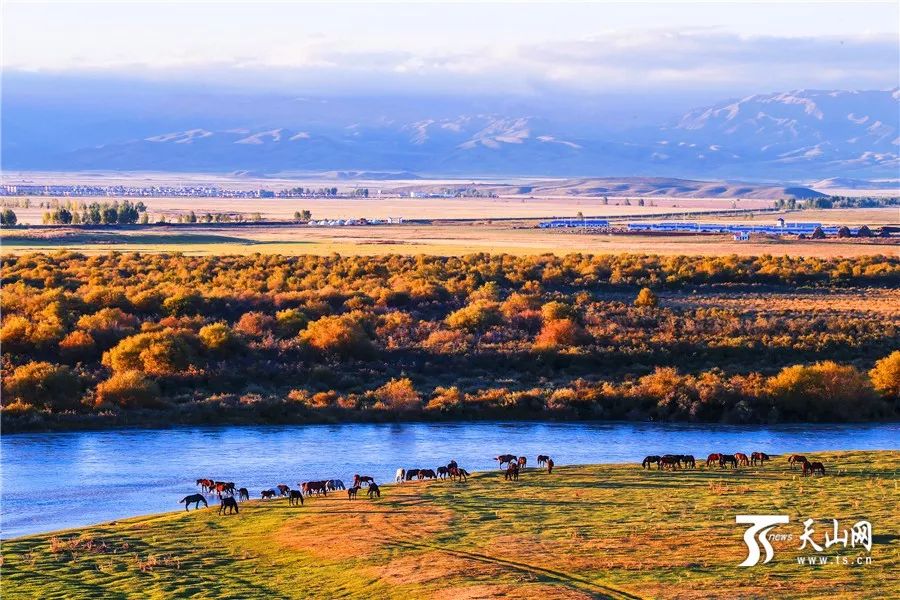 新疆,多元文化交融的瑰宝之地