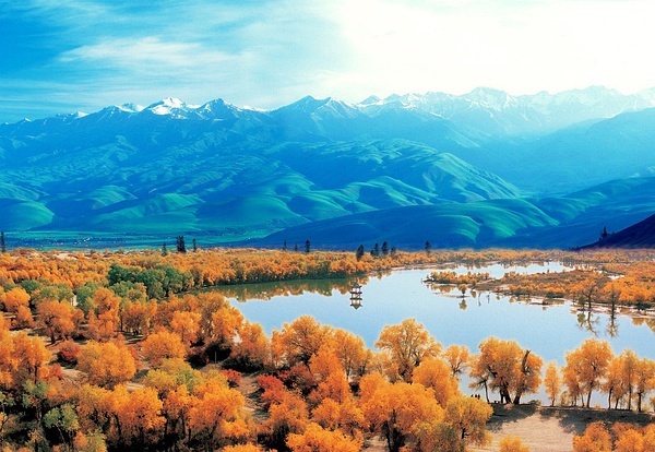 新疆,多元文化交融的瑰宝之地