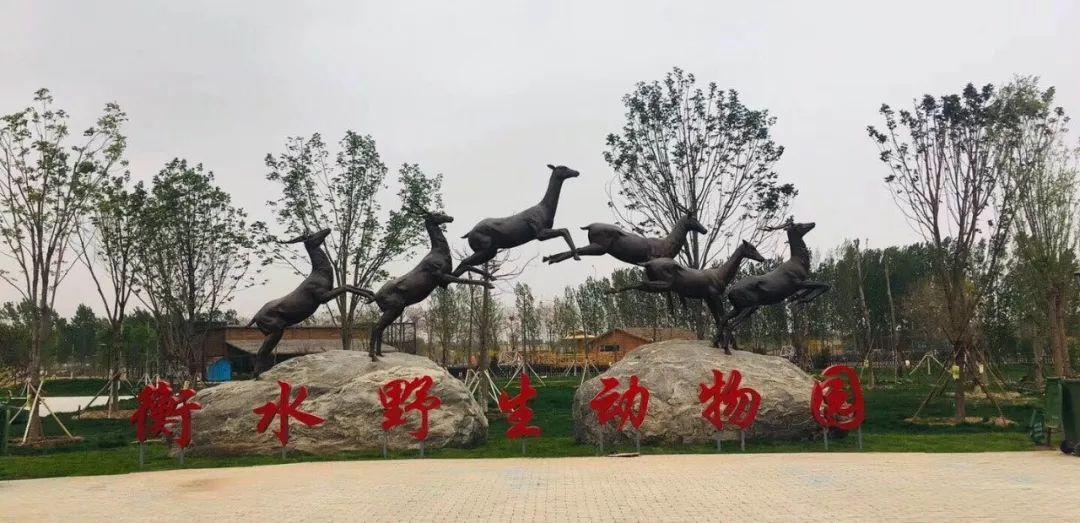 千年衡水，古今交融的古城风采